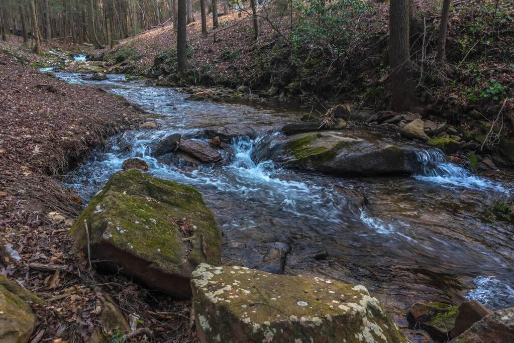 Private Creekside Cabin+Hot Tub,Pool Table, & Pets Ellijay Exteriér fotografie